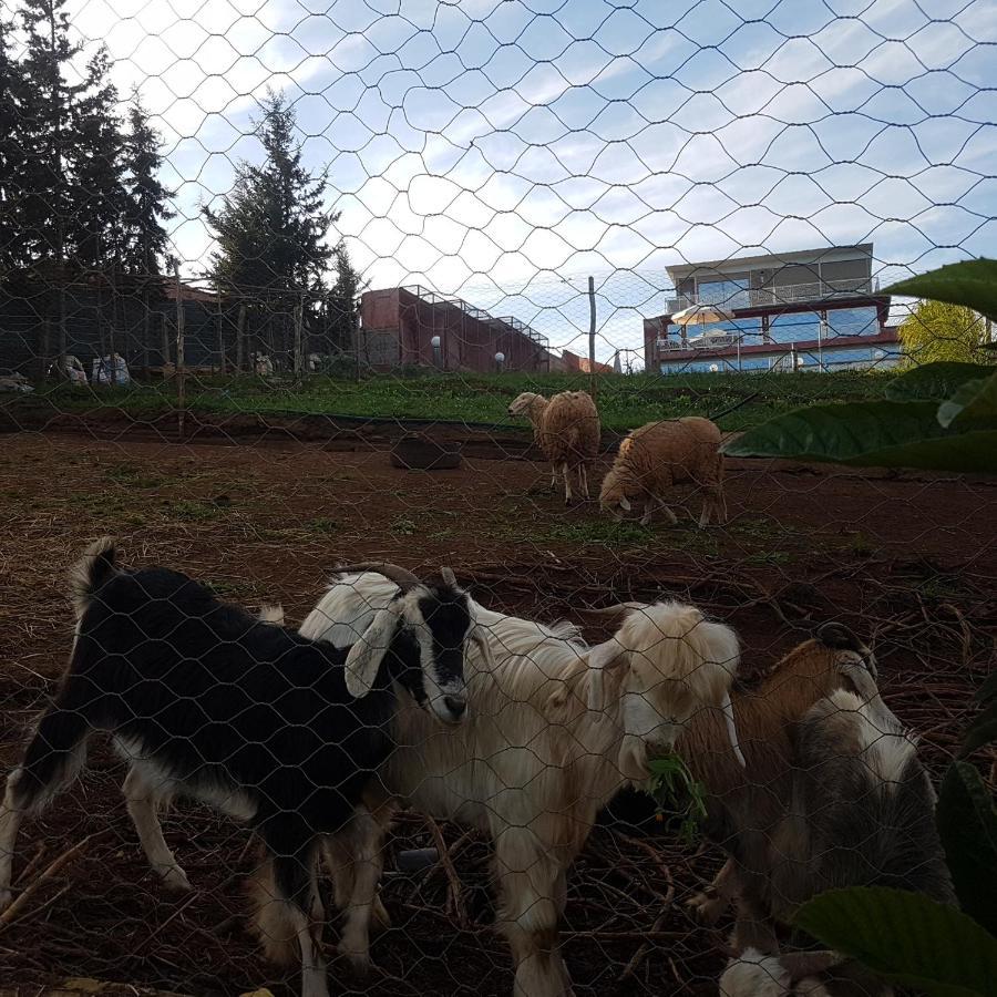Ferme Bouhouch Apartment Oulad Yakoub Екстериор снимка