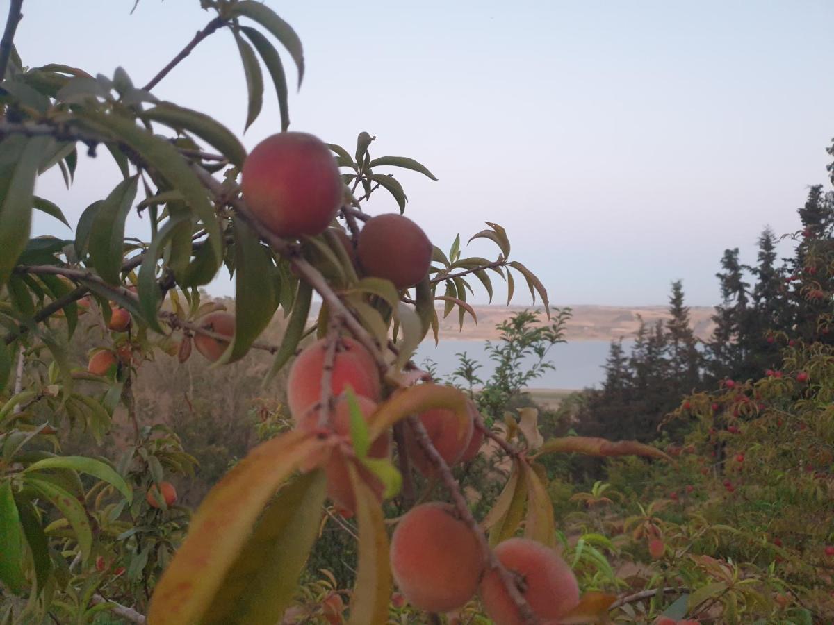 Ferme Bouhouch Apartment Oulad Yakoub Екстериор снимка